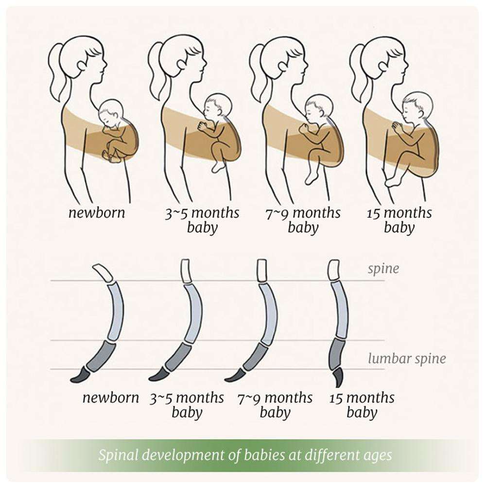 Baby Wrap Ergonomic Safe Comfortable Support 3-36 Month
